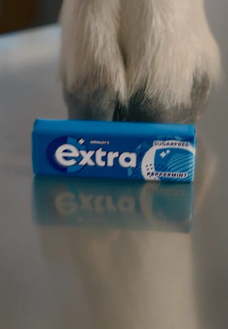 Total Overthink of the Head image